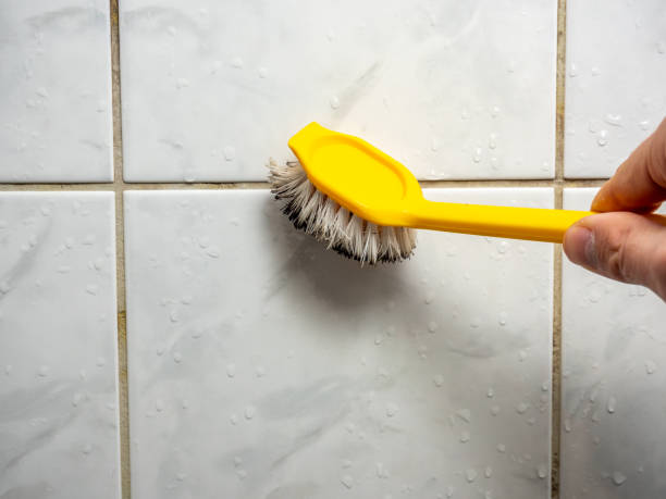 Best Attic Mold Removal  in Heflin, AL