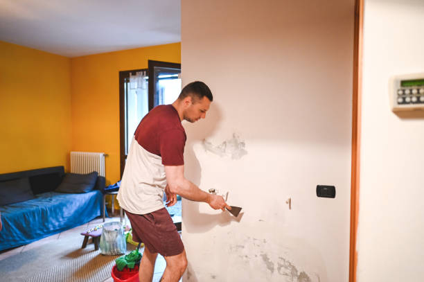 Best Best Mold Removal Companies  in Heflin, AL